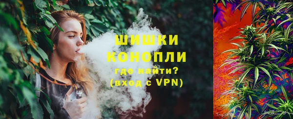 шишки Алексеевка