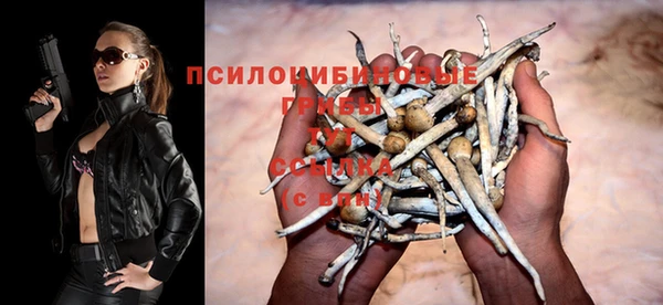 прущие грибы Алексин