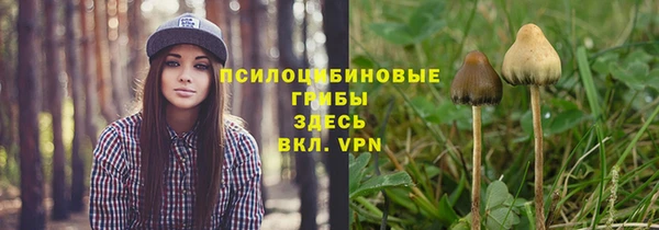 прущие грибы Алексин