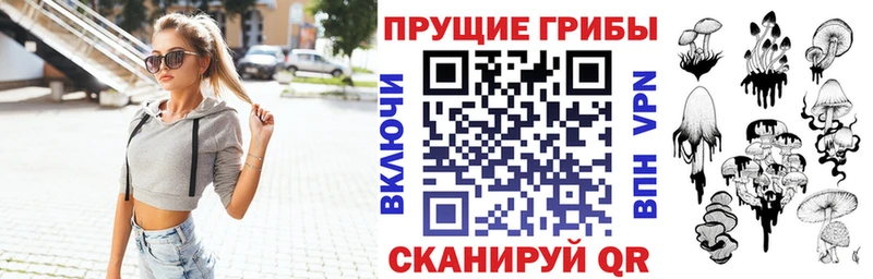 Псилоцибиновые грибы GOLDEN TEACHER  Карачаевск 